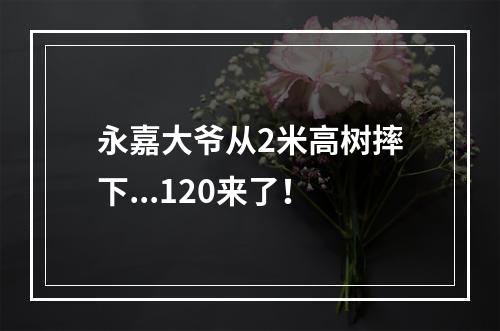永嘉大爷从2米高树摔下...120来了！