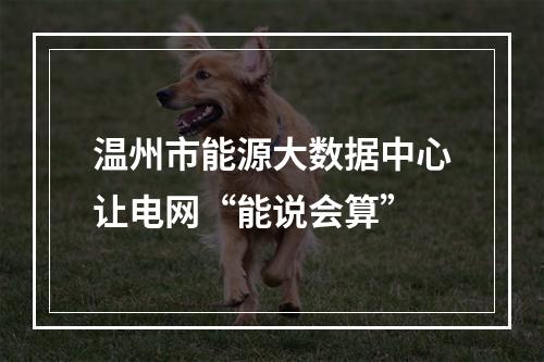 温州市能源大数据中心让电网“能说会算”