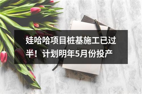 娃哈哈项目桩基施工已过半！计划明年5月份投产