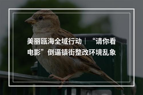 美丽瓯海全域行动｜“请你看电影”倒逼镇街整改环境乱象