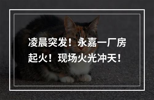 凌晨突发！永嘉一厂房起火！现场火光冲天！