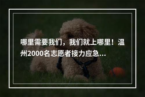 哪里需要我们，我们就上哪里！温州2000名志愿者接力应急献血