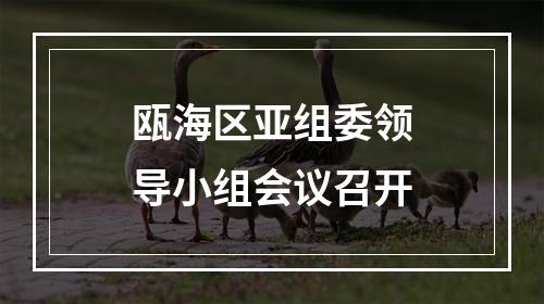 瓯海区亚组委领导小组会议召开