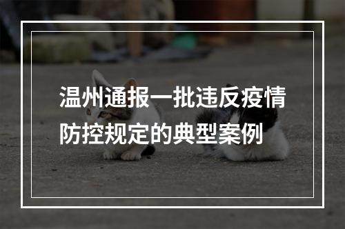温州通报一批违反疫情防控规定的典型案例