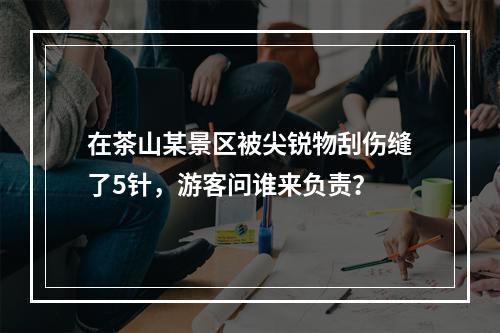 在茶山某景区被尖锐物刮伤缝了5针，游客问谁来负责？