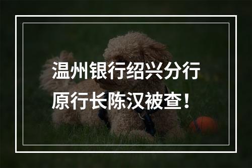 温州银行绍兴分行原行长陈汉被查！