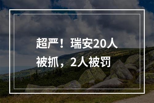 超严！瑞安20人被抓，2人被罚