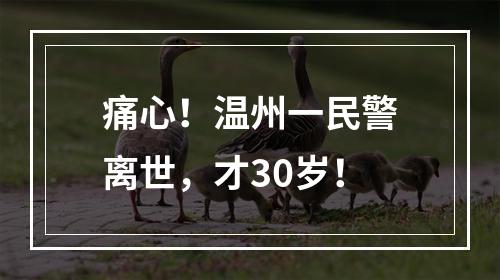 痛心！温州一民警离世，才30岁！