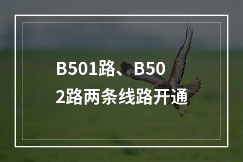 B501路、B502路两条线路开通