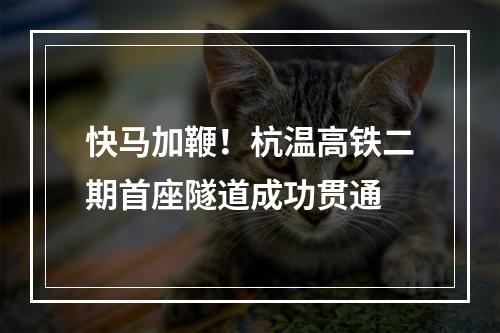 快马加鞭！杭温高铁二期首座隧道成功贯通