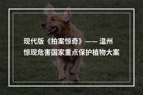 现代版《拍案惊奇》—— 温州惊现危害国家重点保护植物大案