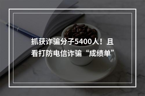 抓获诈骗分子5400人！且看打防电信诈骗“成绩单”