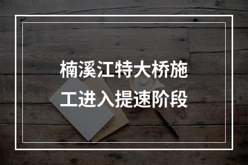 楠溪江特大桥施工进入提速阶段