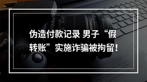 伪造付款记录 男子“假转账”实施诈骗被拘留！