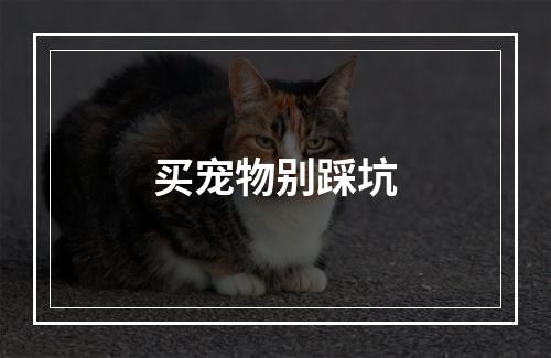 买宠物别踩坑