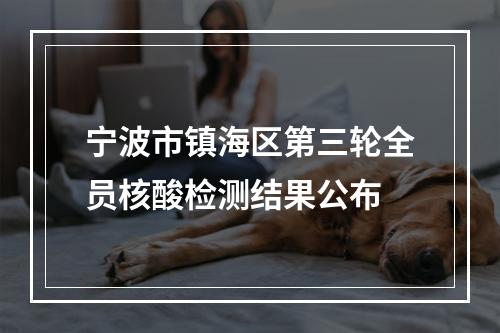 宁波市镇海区第三轮全员核酸检测结果公布
