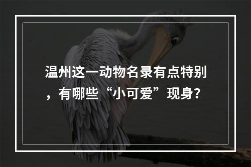 温州这一动物名录有点特别，有哪些“小可爱”现身？