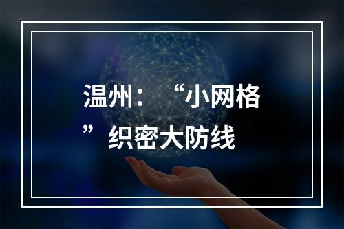 温州：“小网格”织密大防线