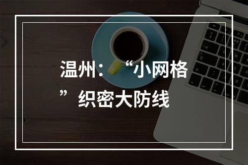 温州：“小网格”织密大防线