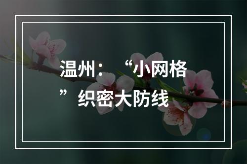 温州：“小网格”织密大防线