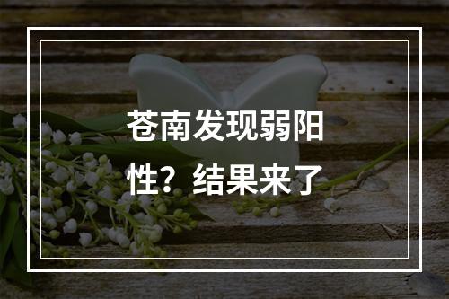 苍南发现弱阳性？结果来了