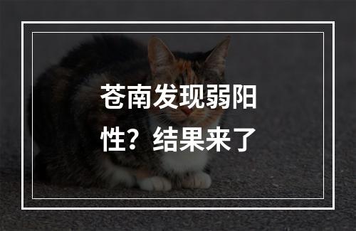 苍南发现弱阳性？结果来了
