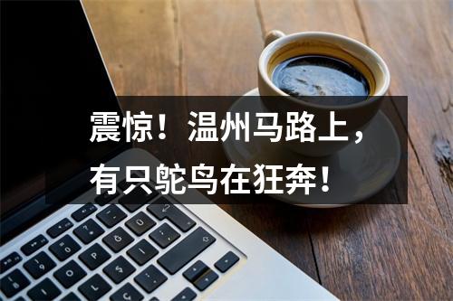 震惊！温州马路上，有只鸵鸟在狂奔！