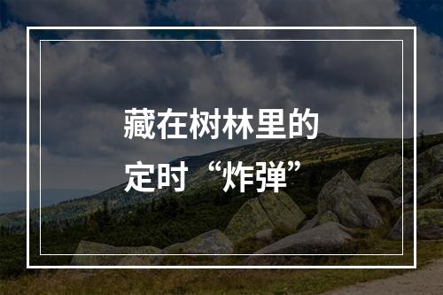 藏在树林里的定时“炸弹”