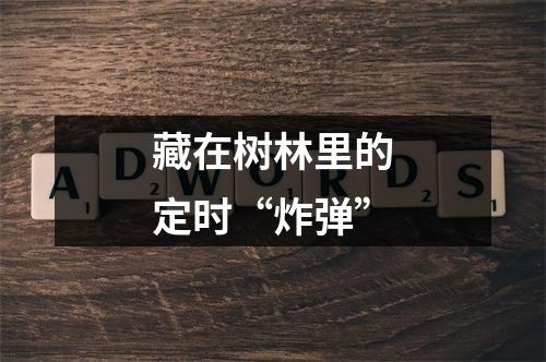 藏在树林里的定时“炸弹”