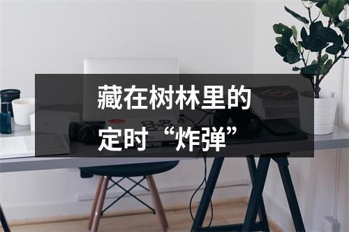 藏在树林里的定时“炸弹”