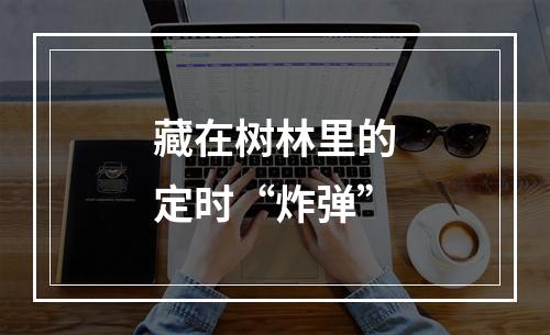 藏在树林里的定时“炸弹”