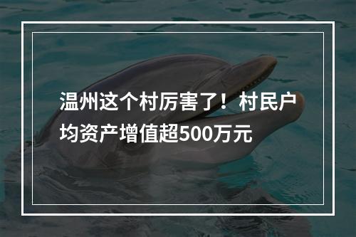 温州这个村厉害了！村民户均资产增值超500万元