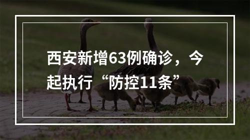 西安新增63例确诊，今起执行“防控11条”