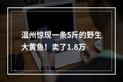 温州惊现一条5斤的野生大黄鱼！卖了1.8万