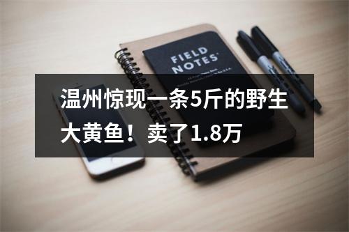 温州惊现一条5斤的野生大黄鱼！卖了1.8万