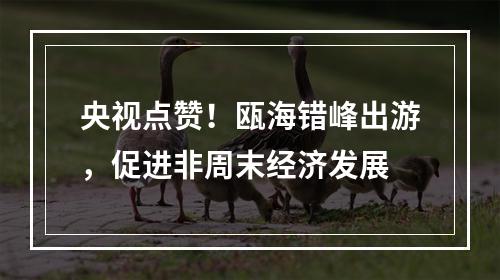 央视点赞！瓯海错峰出游，促进非周末经济发展