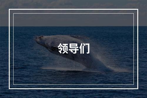领导们
