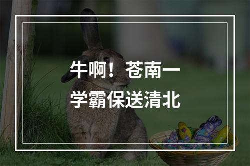 牛啊！苍南一学霸保送清北