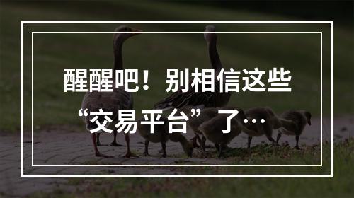 醒醒吧！别相信这些“交易平台”了…