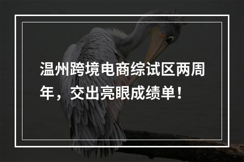 温州跨境电商综试区两周年，交出亮眼成绩单！