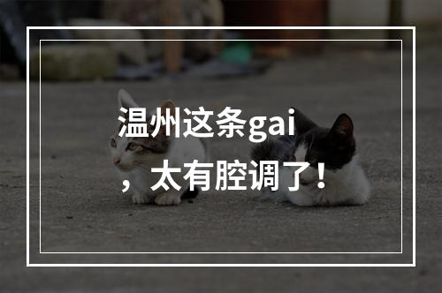 温州这条gai，太有腔调了！