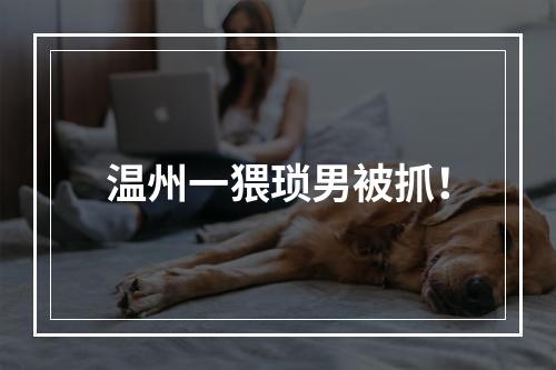 温州一猥琐男被抓！
