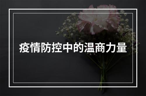 疫情防控中的温商力量