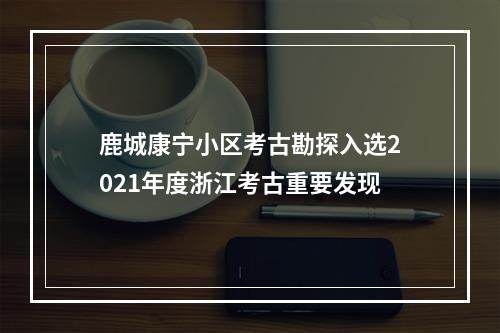 鹿城康宁小区考古勘探入选2021年度浙江考古重要发现
