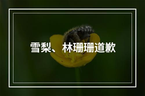 雪梨、林珊珊道歉