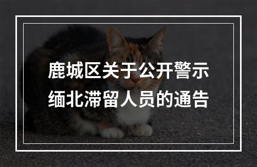 鹿城区关于公开警示缅北滞留人员的通告