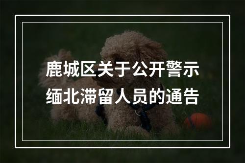 鹿城区关于公开警示缅北滞留人员的通告