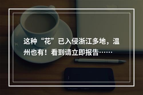 这种“花”已入侵浙江多地，温州也有！看到请立即报告……