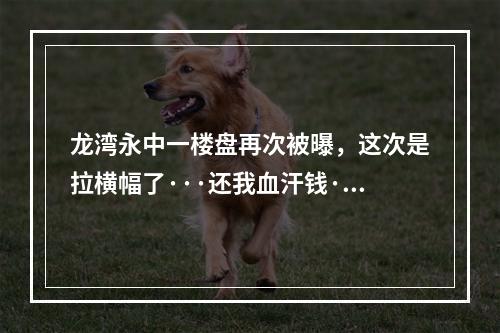 龙湾永中一楼盘再次被曝，这次是拉横幅了···还我血汗钱···