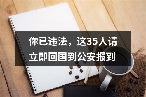 你已违法，这35人请立即回国到公安报到